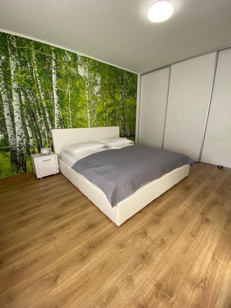 Apartament Nala Mediaş Екстериор снимка